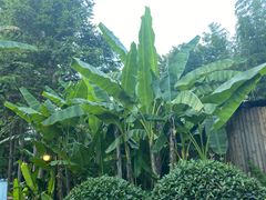 -九龙湾·御膳坊(九龙窠路店)