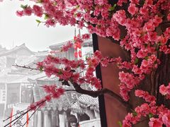 -缘合居小酒馆(大渡河路店)