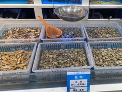 -丝路东方虾仁水饺(北京路二宫汇嘉店)