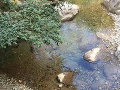 -花岩国家森林公园