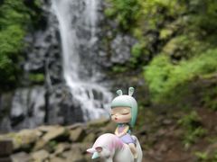 -望天鹅景区