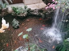 -白天鹅宾馆-宏图府餐厅