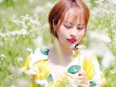 -昆山城市生态森林公园