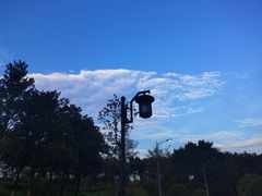 -大渡口区义渡公园