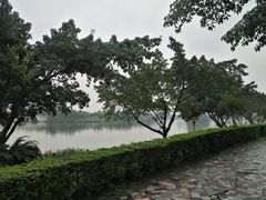 -眉山湿地公园(东坡区)