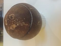 -志龙皇冠吃货椰子铺