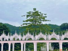-龙凤山庄影视度假村