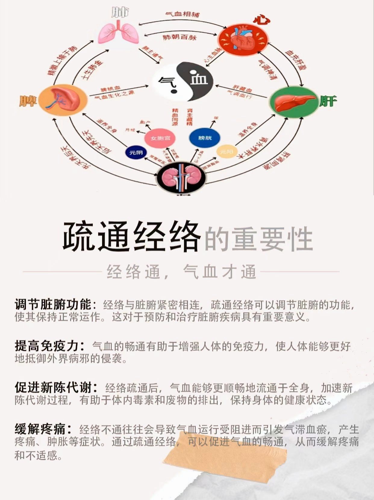 经络通,气血才通!
疏通经络的重要性