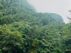 -苍山感通索道