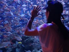 -成都浩海立方海洋公园