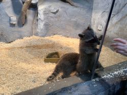 -Zoolung Zoolung动物主题公园(海信广场店)