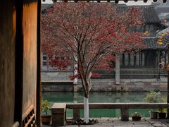 -乌镇景区