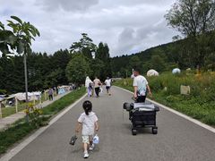 -武陵山森林公园