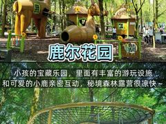 -老鼎万春卤菜(五代传承创始老店)