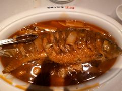 红烧黄河鲤鱼-阿五黄河大鲤鱼(英协路店)