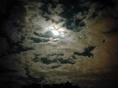 -草山夜未眠景观餐厅