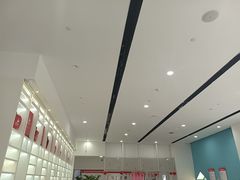 -天鹅到家·保姆月嫂育儿嫂(总店)