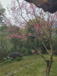 点击看大图 -金芙美月子中心(财富别墅店)