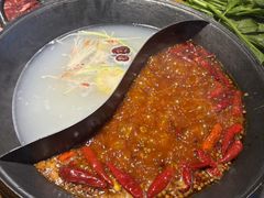 -阳阳老火锅(小南门店)