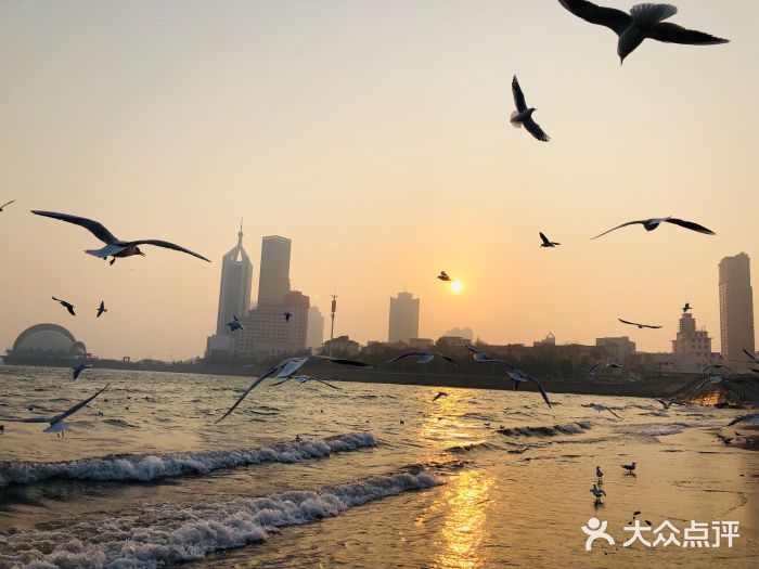 栈桥景区景点图片