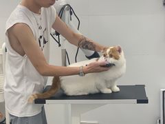 -comecome来吧宠物(奥克斯中心店)