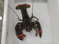 -阿浪海鲜连锁•海鲜加工•老字号(第一市场店)