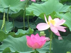 -长春世界雕塑园冰雪艺术天地