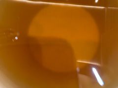 砖茶-清真·益鑫羊肉手抓馆(花园北街店)