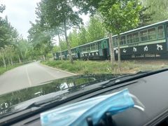 -秦皇岛野生动物园