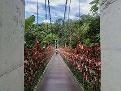 -西双版纳原始森林公园