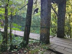 -西岭雪山大飞水景区