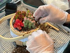 -奔驰上海利星(七宝店)