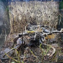 -酷嗒动物文化乐园(cutezoo西溪乐天城店)