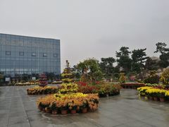 -南通洲际绿博园