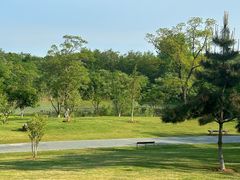 -盘龙城国家考古遗址公园