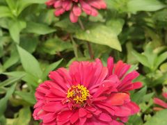 -成都市实验小学(人民中路校区)