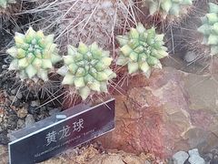 -国家植物园南园