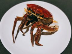 阳澄湖大闸蟹-曲廊院(东四十一条店)