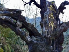 -龙湾潭国家森林公园