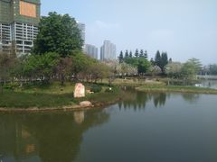 -映月湖公园