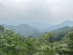-大岭沟猕猴桃谷风景区