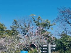 -广州市白云山风景名胜区