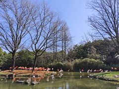 -上海野生动物园