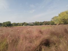 -艾溪湖湿地公园