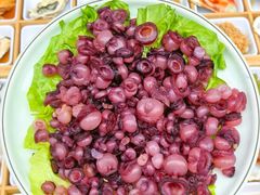 -1937青岛老味道·海肠捞饭·青岛菜(大鲍岛栈桥店)