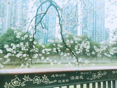 -红星桥(地铁站)