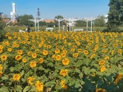 -祥源·阜阳生态乐园