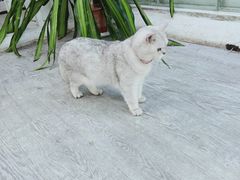 -小时光咖啡馆(北锣鼓巷店)