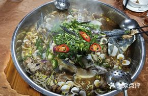 Big Plate Fish