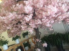 门面-汤里来温泉